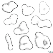 рисовать Раскраски Для Печати